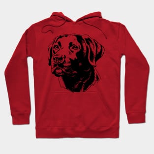 Labrador Hoodie